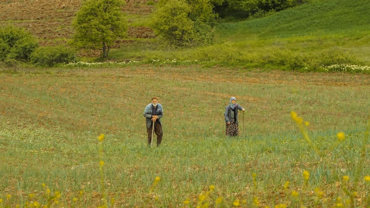 satul-din-romania-unde-se-vorbeste-o-limba-secreta_56444800