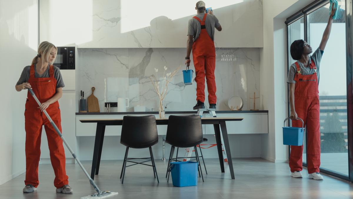 solutie-pentru-parchet_78395300