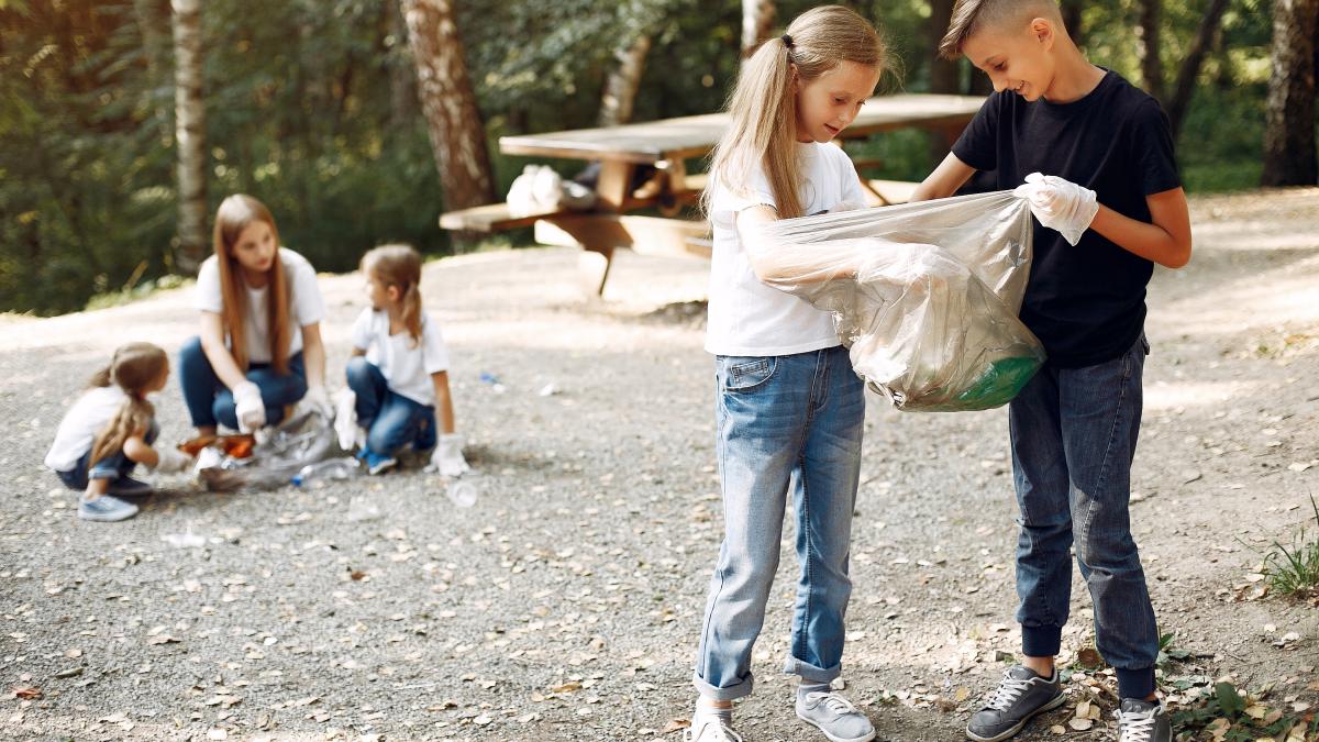 educatie-pentru-mediujpg_55953300