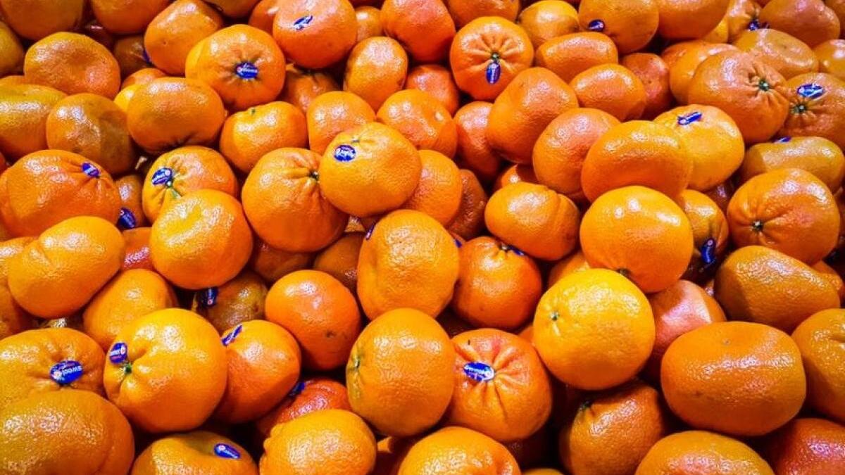 femeile-care-au-o-anumita-varsta-ar-trebui-sa-manance-cel-putin-o-portocala-in-fiecare-zi_19210700