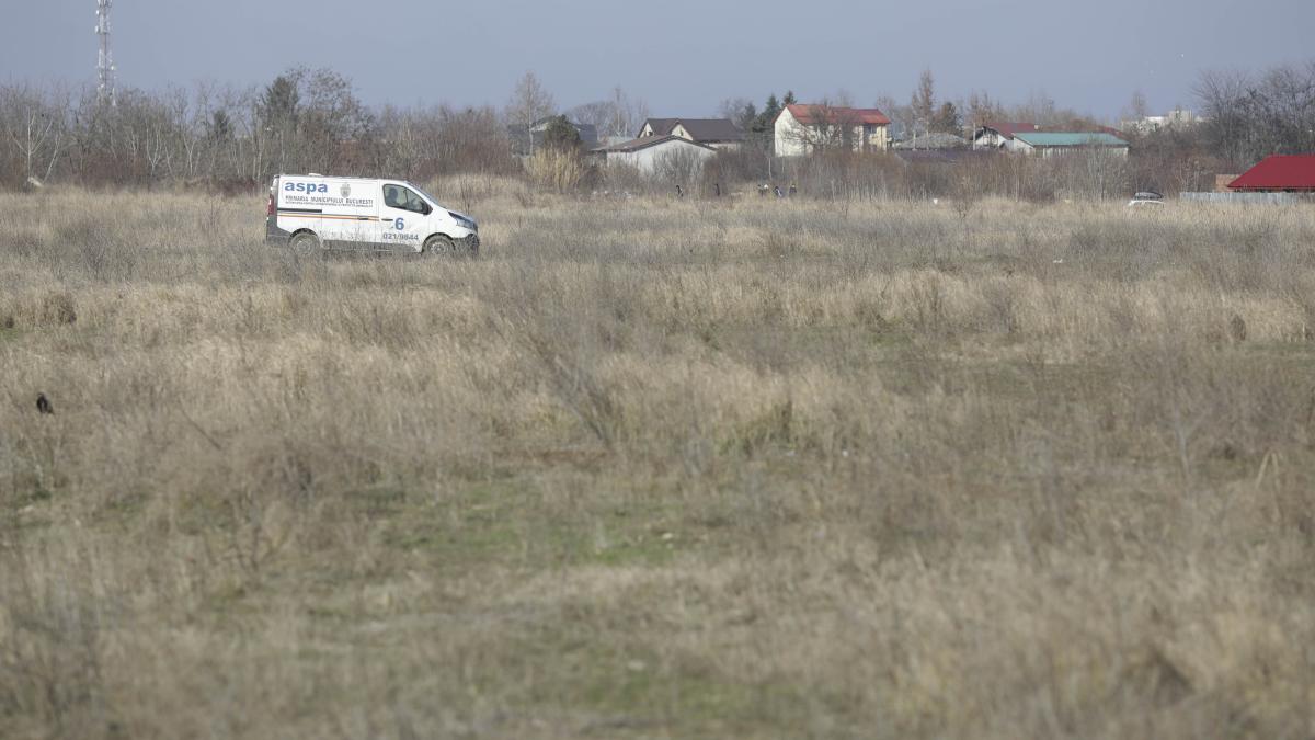 instant_deces_caini_ogn_2774_inquam_photos_sabin_cirstoveanu_48923100