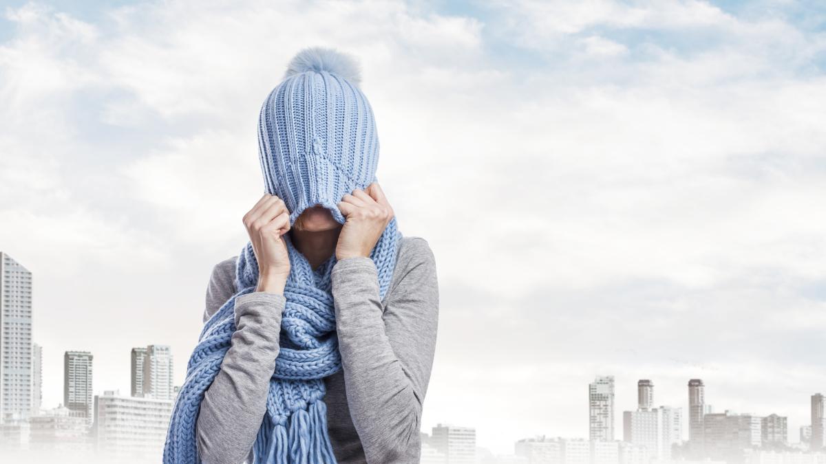 vine-frigul_26782700