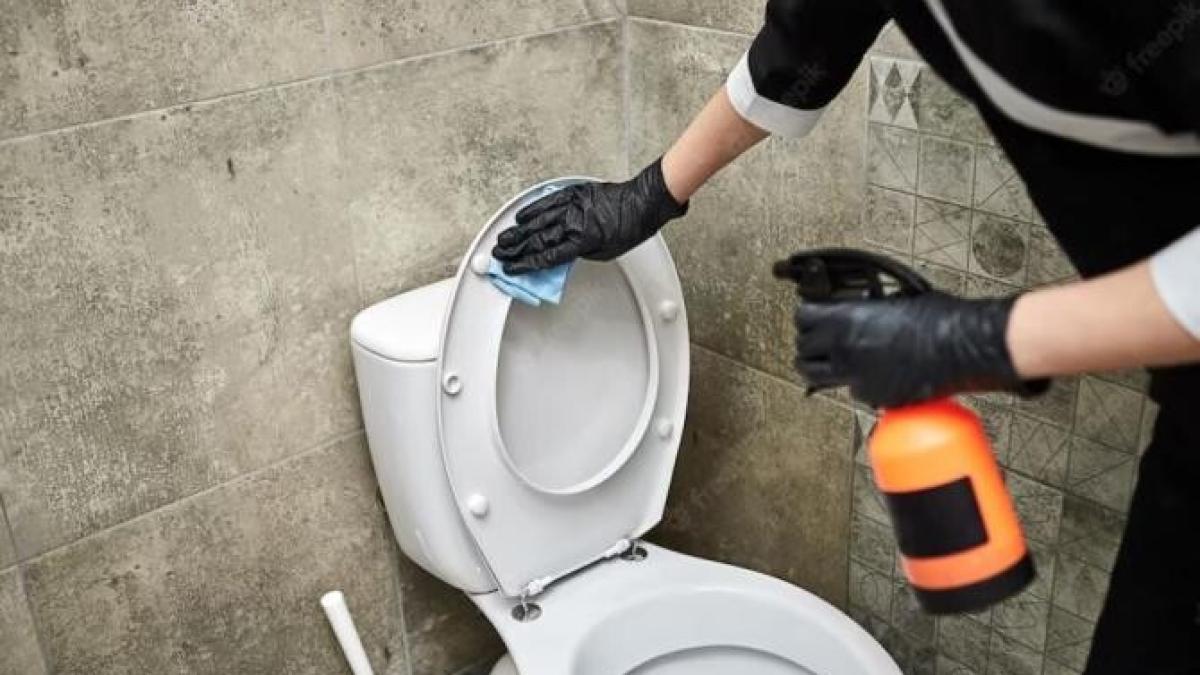 pune-detergent-lichid-in-toaleta--multe-gospodine-fac-asta-dintr-un-motiv-crucial_38763300