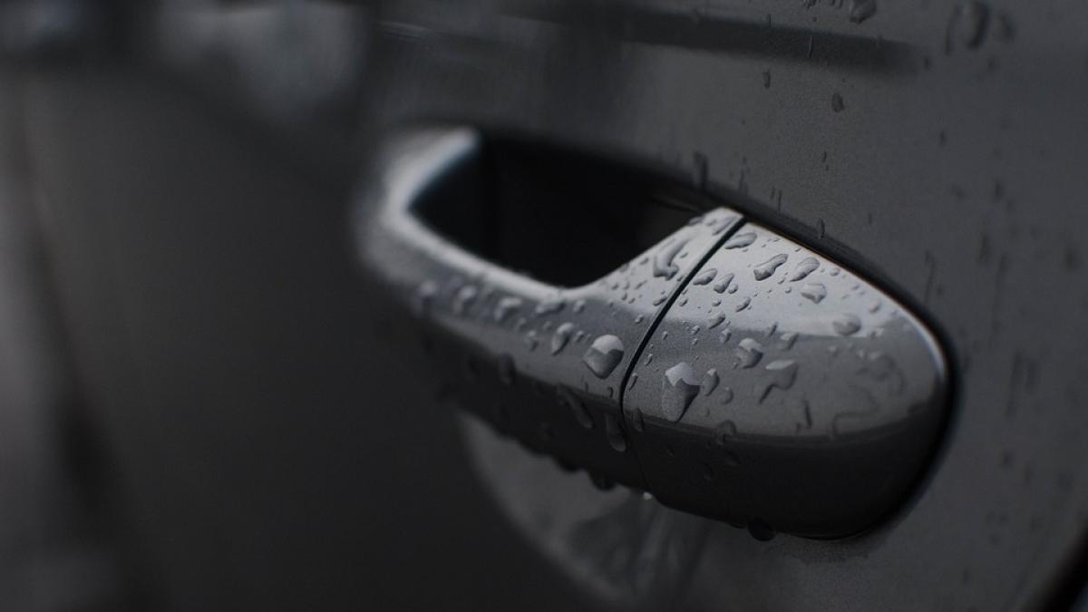 hot-masina-sotia-proprietarului_71295100