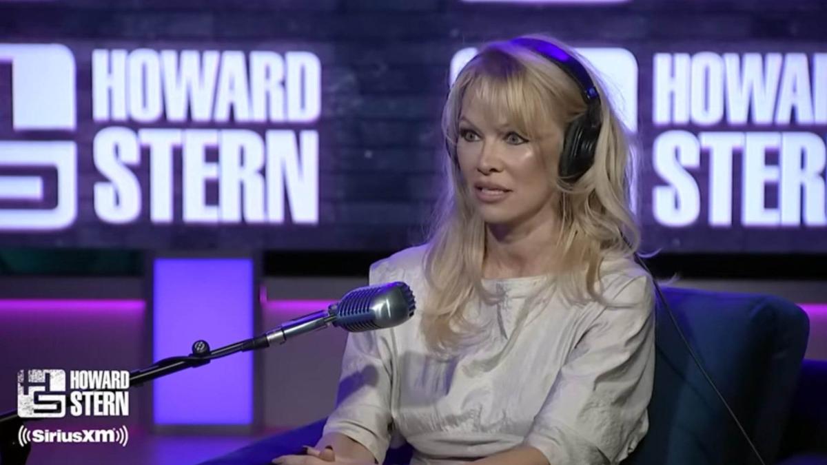 pamela-anderson-intalnire-vladimir-putin_99869200