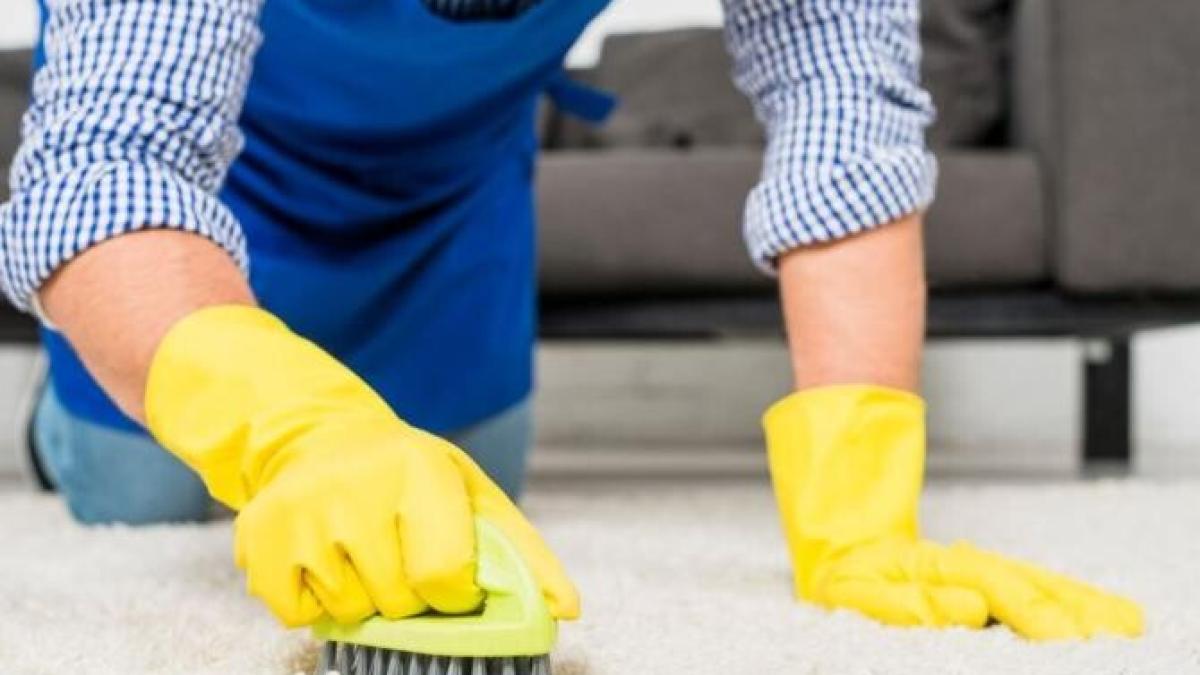 curata-covorul-fara-efort--va-arata-din-nou-cu-un-truc-simplu_87146900