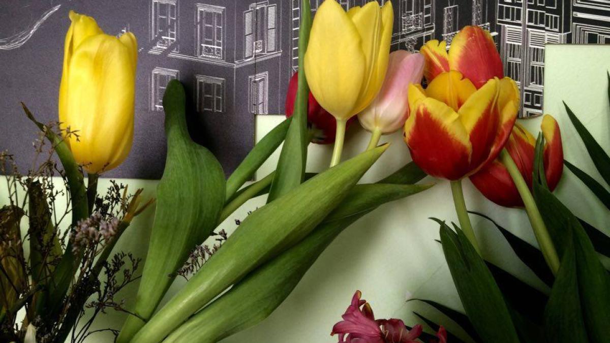 horoscop-februarie-2023_19885500