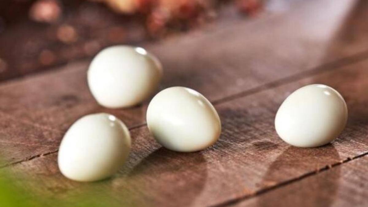 bucatarii-experimentati-invart-ouale-crude-inainte-de-a-le-gati--iata-de-ce-fac-asta_05307600