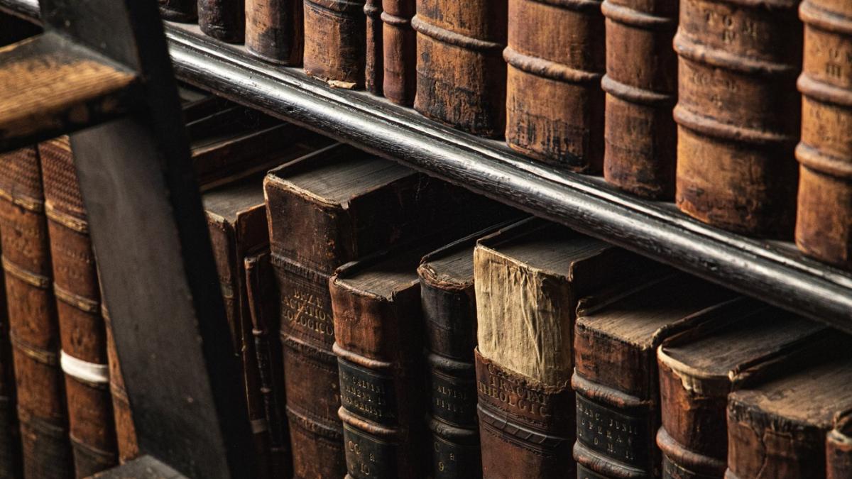 descoperire-la-oradea_47584600