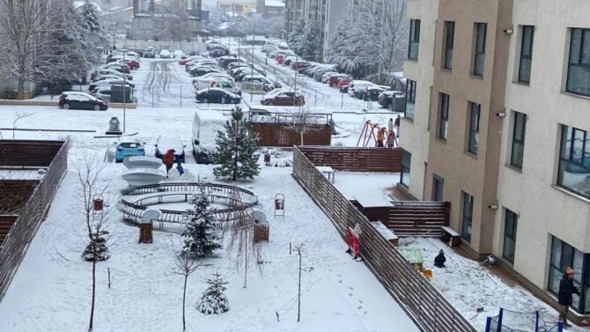 zapada-meteo-februarie-2023-anm_63534800