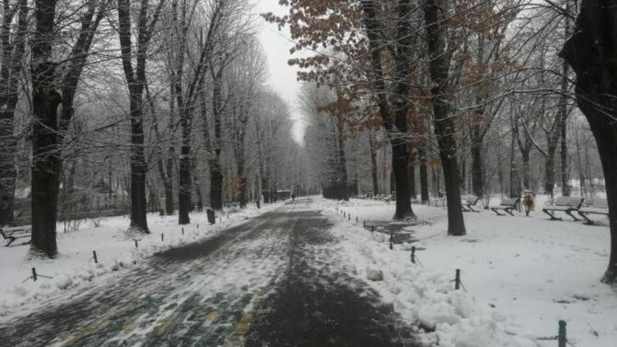 meteo-februarie-2023_57925900