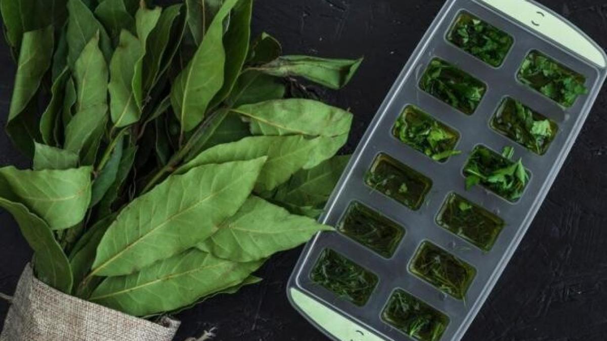 pune-frunze-de-dafin-in-frigider--acest-gest-este-suficient-pentru-a-rezolva-o-problema-mare_98725700