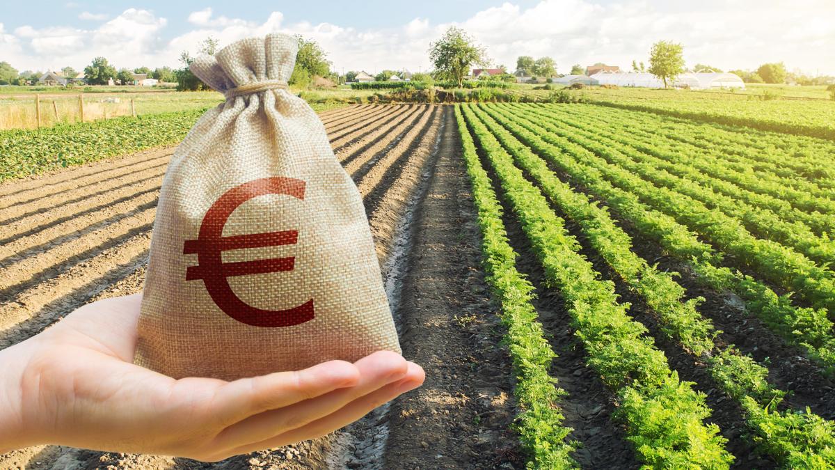 bani-pentru-agricultori_71561200