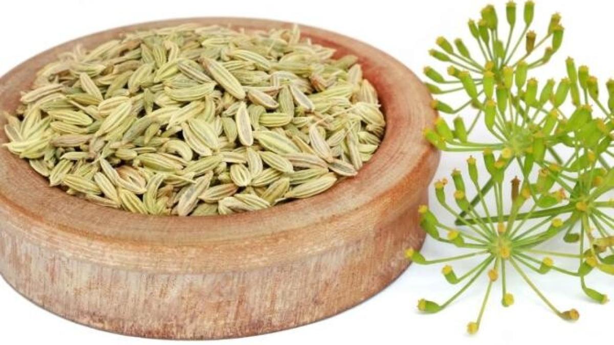 consuma--zilnic--seminte-de-fenicul-daca-vrei-sa-slabesti--iata-cum-le-poti-include-in-dieta-ta_03589500