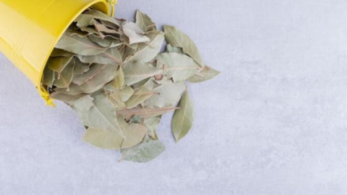 pune-frunze-de-dafin-sub-perna-si-vezi-ce-se-intampla-in-timpul-noptii_18001300