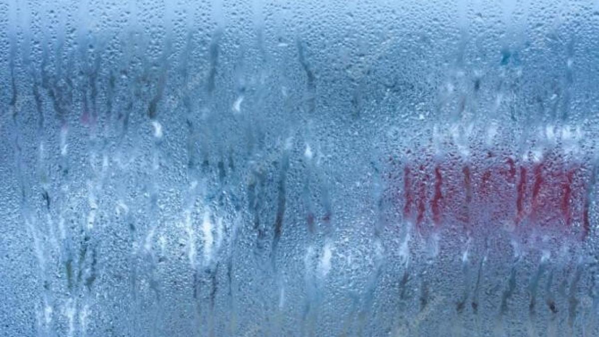 scapa-de-condensul-de-pe-geamuri-cu-un-singur-produs-din-pet-shop--un-truc-neobisnuit_66310100