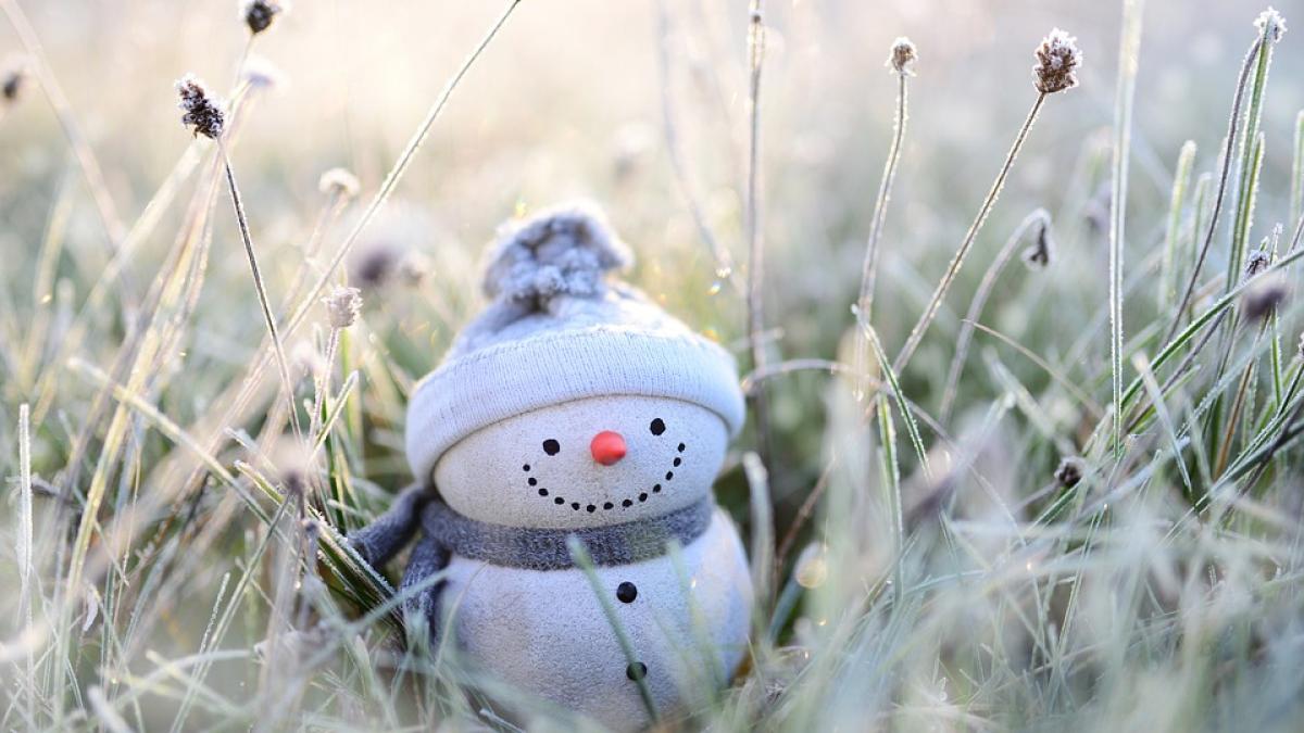 februarie-anm-prognoza-meteo_20811200