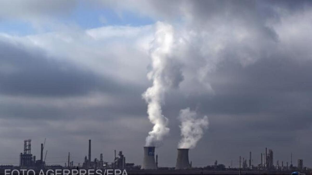 guvernul-a-trimis-al-doilea-control-la-omv-petrom---document-2_43214400