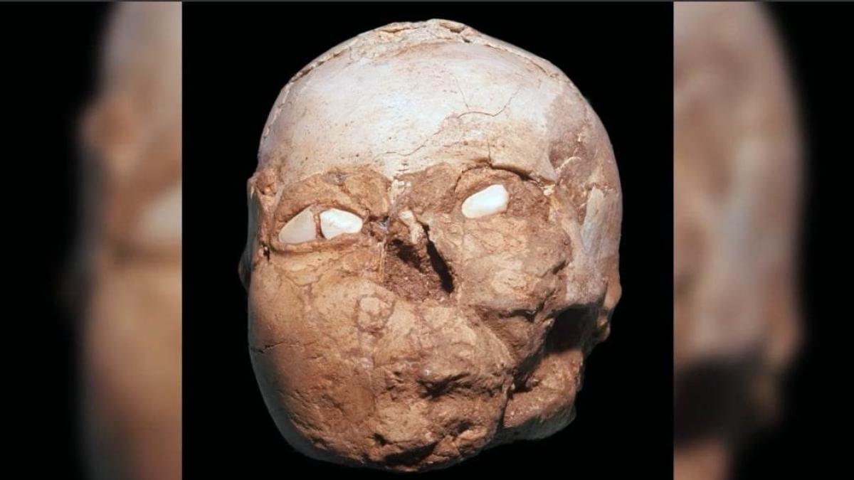 craniu-chip-barbat-evul-mediu_25237800