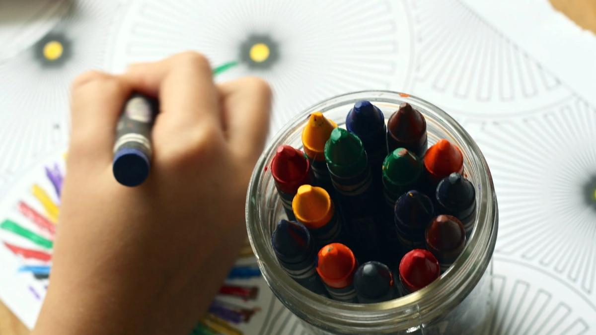 parenting-101-cu-prof--georgeta-panisoara--la-dc-news-tv--nevoile-socioemotionale-ale-copiilor_32346400