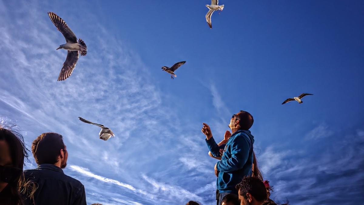 animale-cutremur-turcia-imagini_49336000