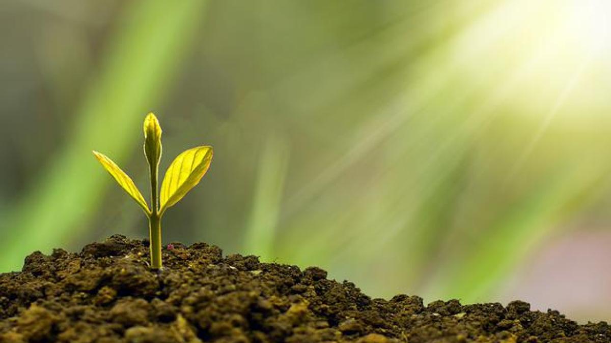 economie-bnr-consum-inflatie_25749900