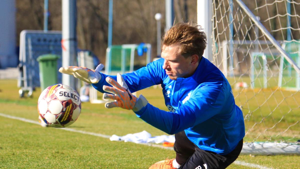 arlauskis_craiova_contract_fb_00326900