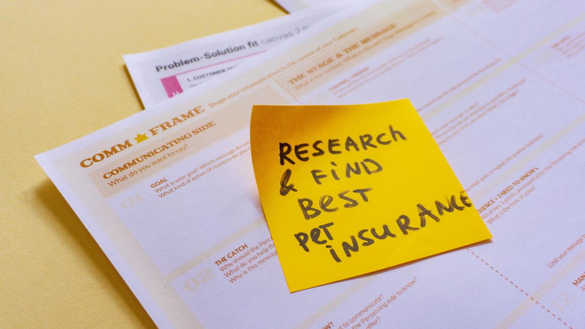 marian-siminica-rolul-educatiei-financiare-in-sistemul-de-asigurari_92523700