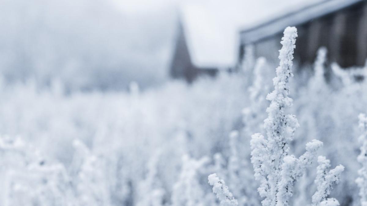 anm-a-emis-o-atentionare-de-viscol-in-14-judete-ale-romaniei-valabila-in-weekendul-11-12-februarie_99263500