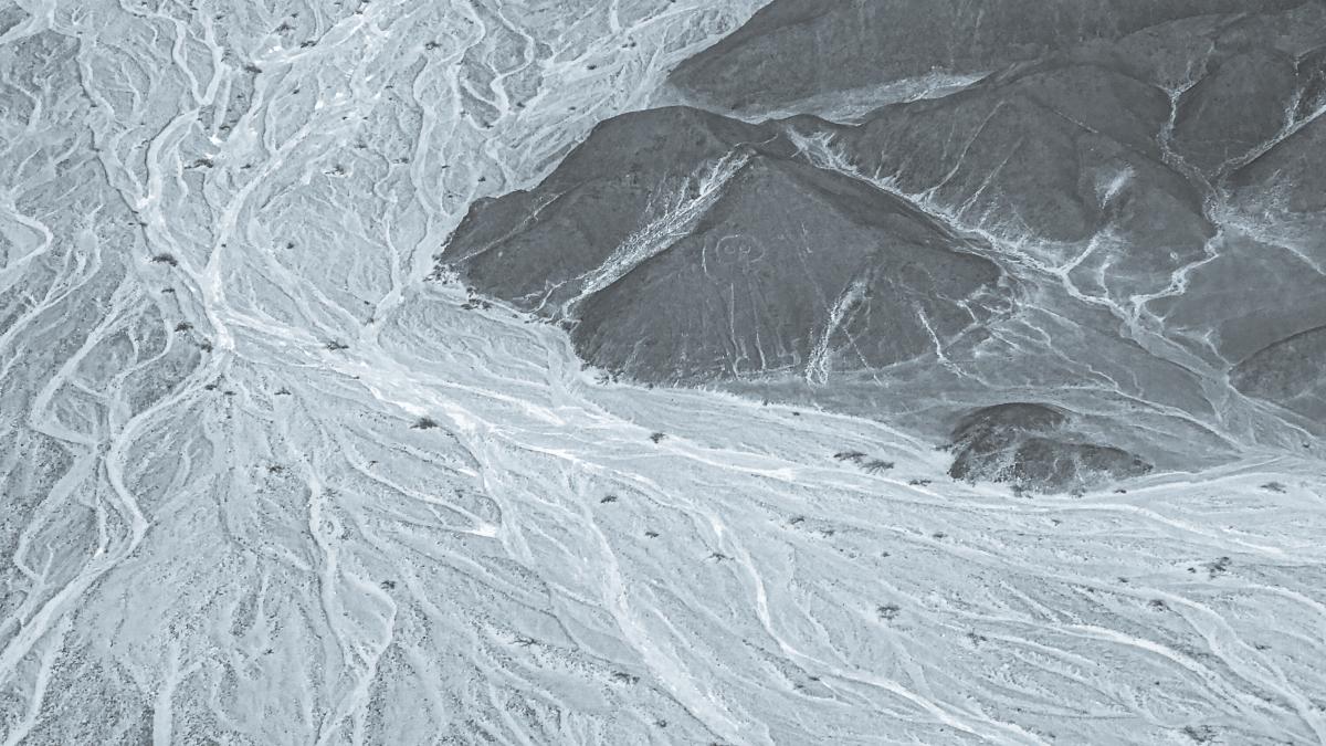 sua_armata_ozn_pxl_05656800