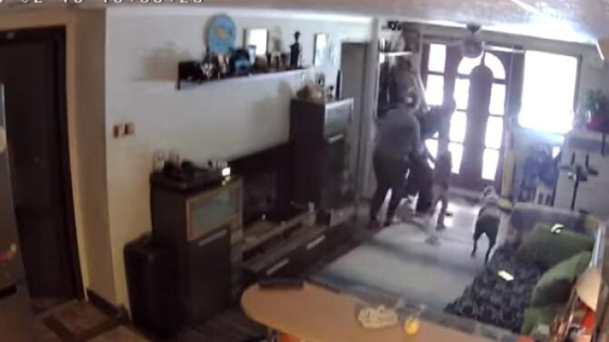 cutremur-romania_51332700