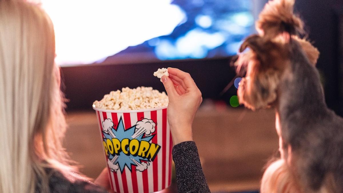 filme-caini-job_86601200