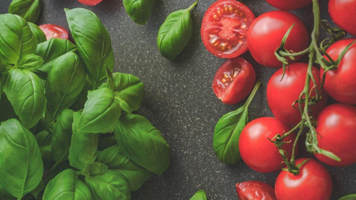 lygia-alexandrescu-rosii_36596700