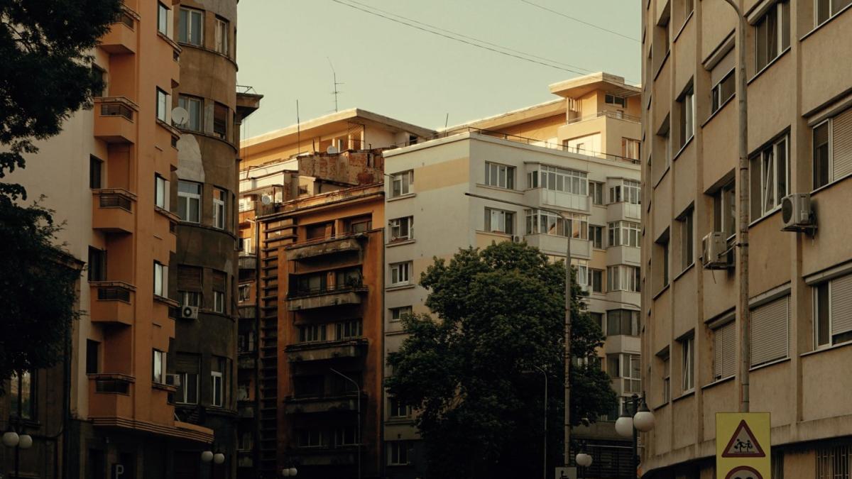 risc-cutremur-bucuresti-oana-florea-psd_71302600