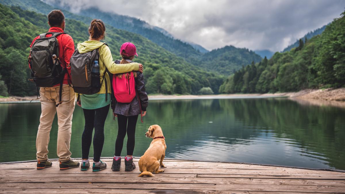 vacanta-in-rate_37592600