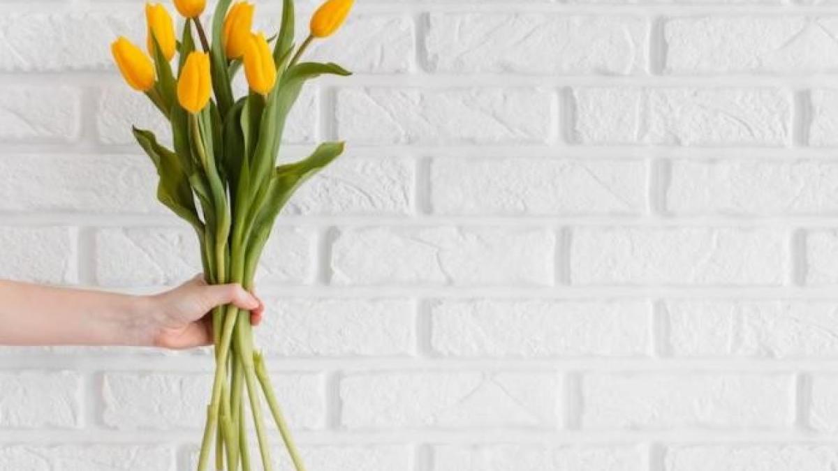 cum-poti-prelungi-viata-lalelelor-si-ce-trebuie-sa-adaugi-in-apa-ca-sa-reziste-mai-mult-timp--andrei-bindea---functioneaza-cel-mai-bine_52983500