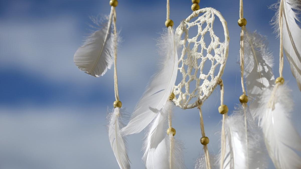 vise-somn-vii_95270600