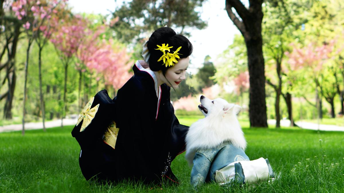 stratificarea-parului_81054200