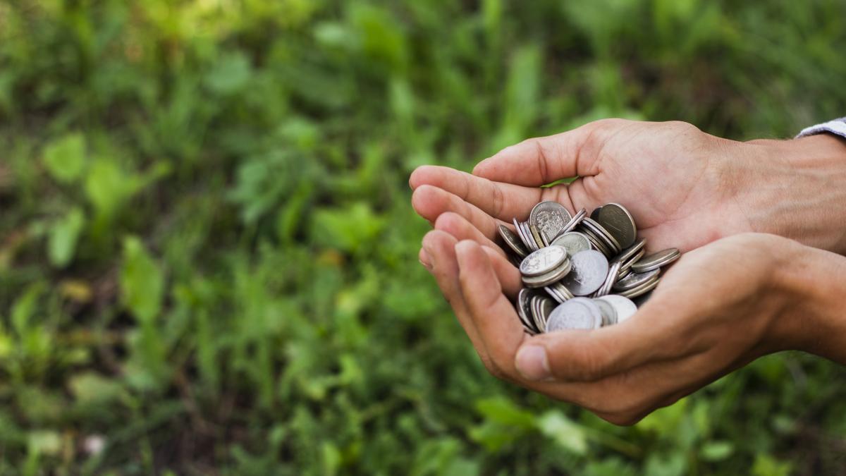 bani-fermier-apia_88707700