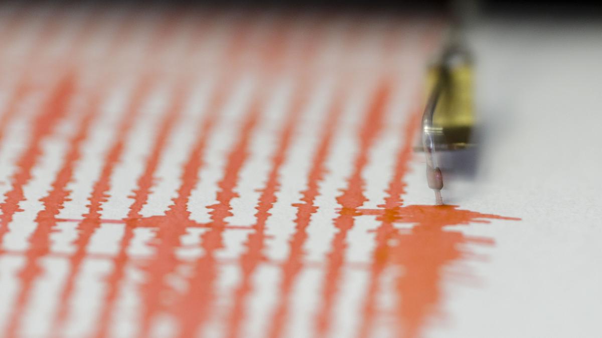 nou-cutremur-in-gorj_25784900