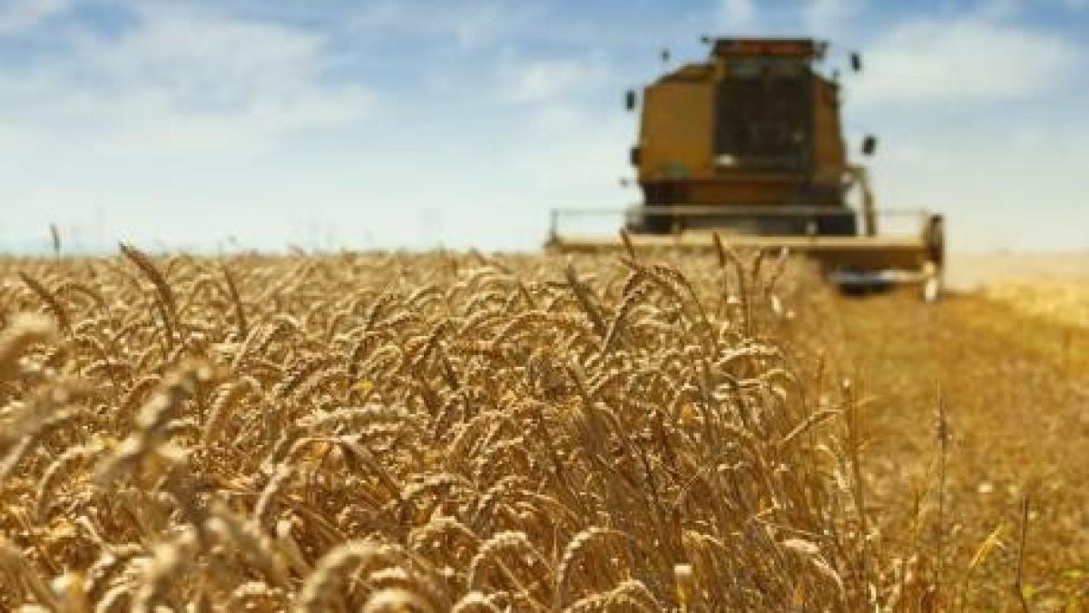 geoana-agricultura_93418100