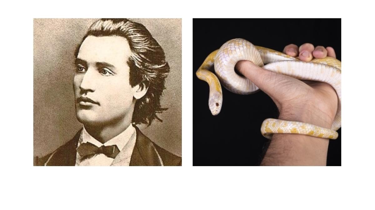 eminescu-iubea-serpii_05950000