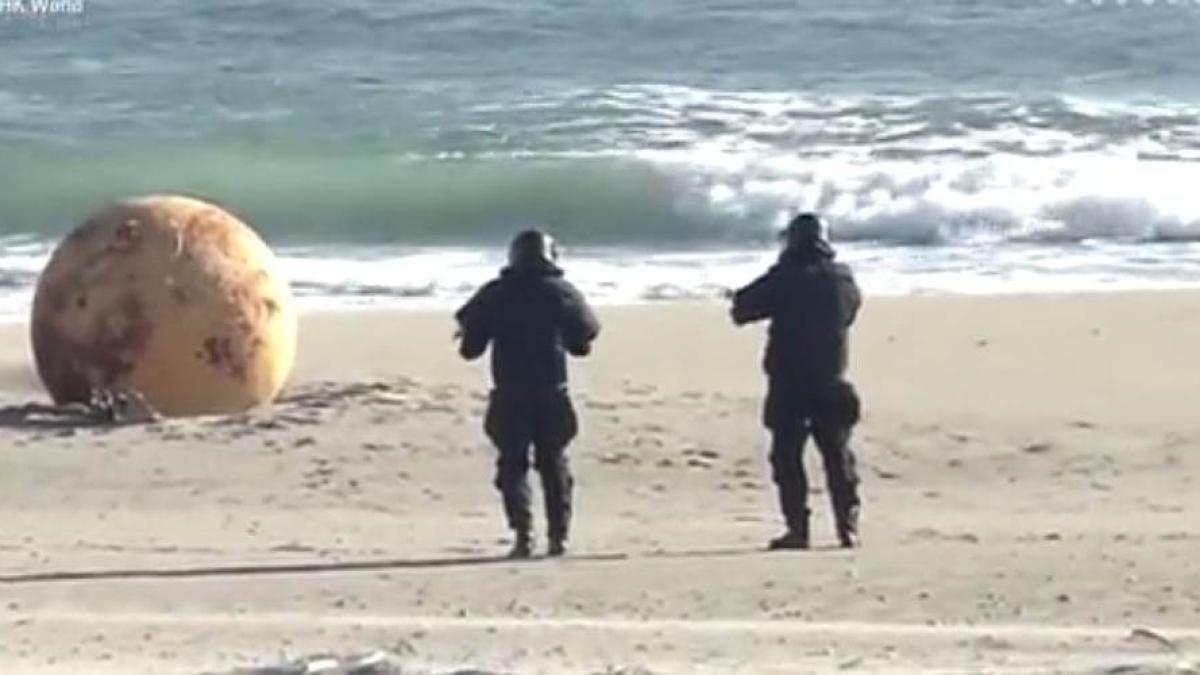 minge-japonia_45617700