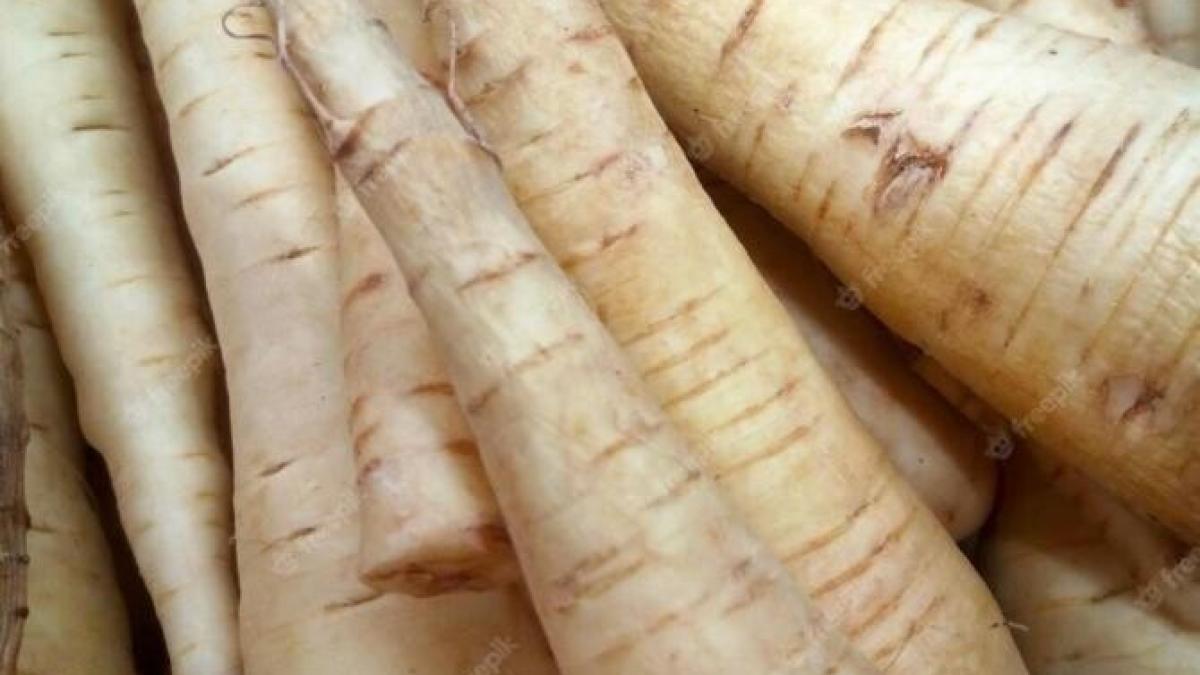 proprietatile-si-beneficiile-pastarnacului--cum-sa-l-consumi-pentru-cele-mai-bune-rezultate_81791200