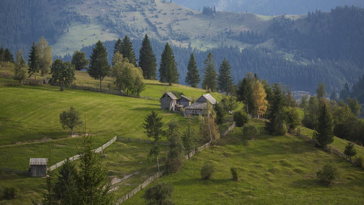 bucovina-romania_48691400