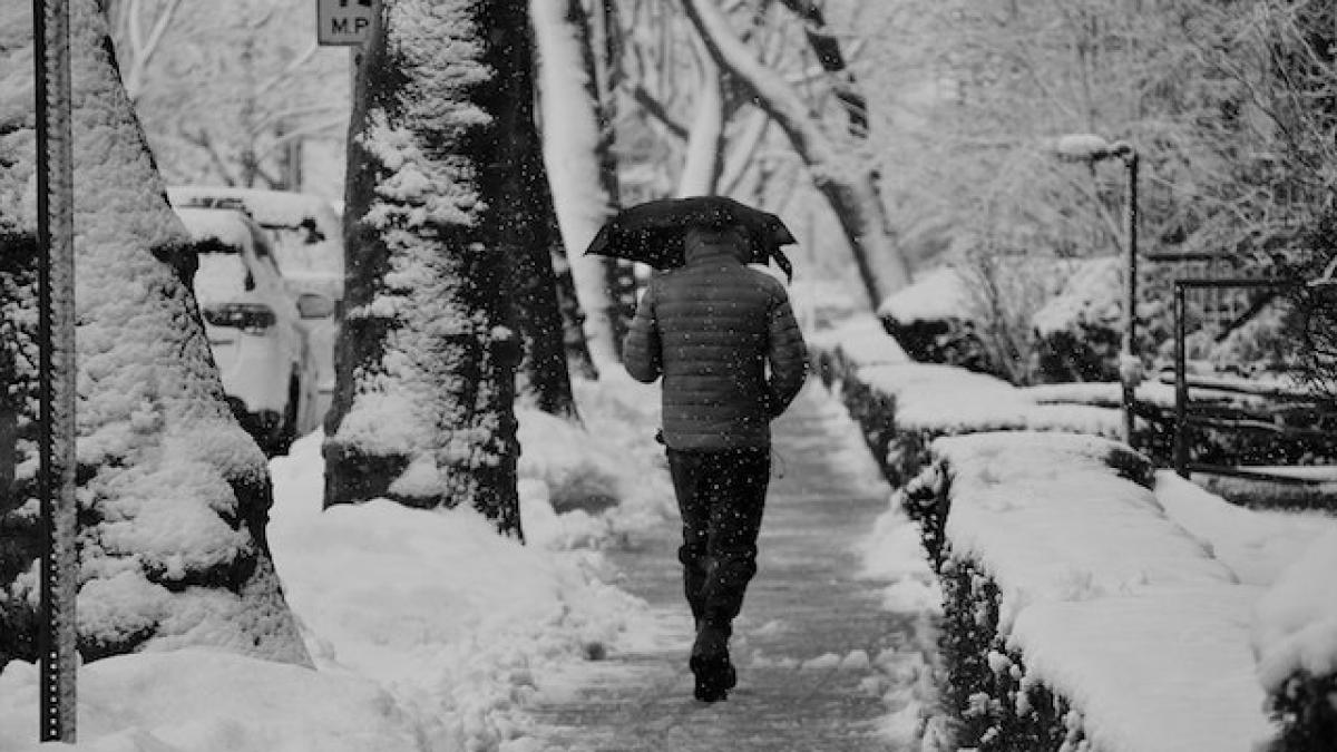 ninsoare-vreme_11630600