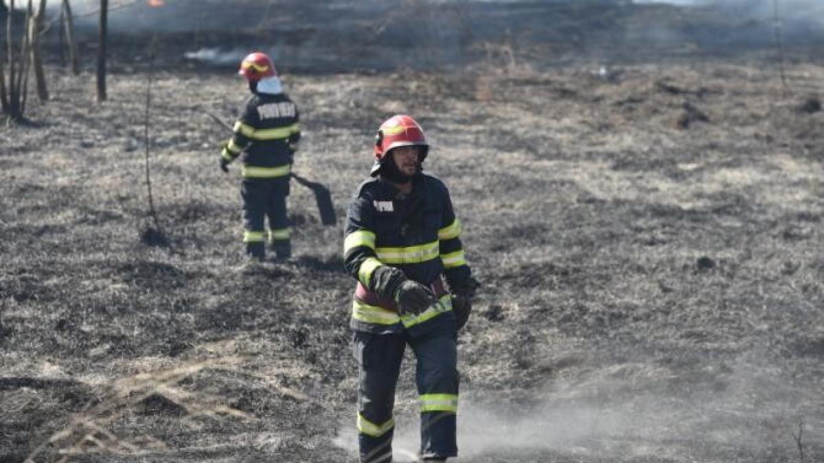 incendiu-satu-nou-tulcea_23326800