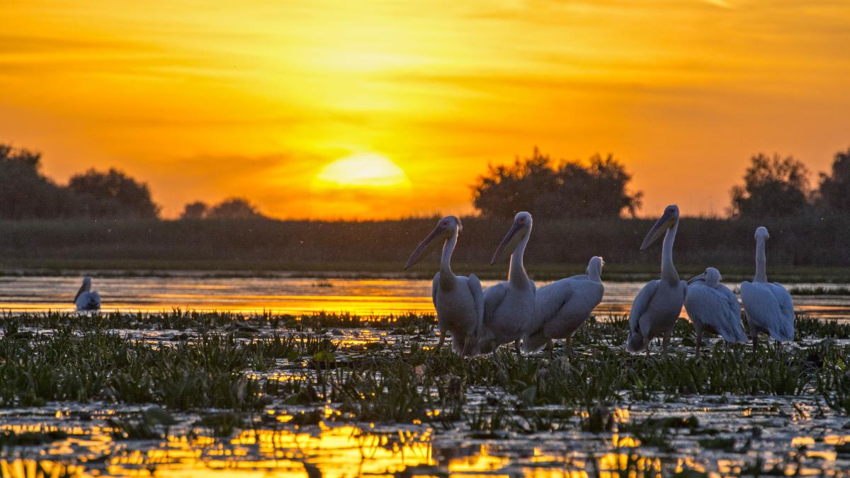 localitata-etalon-din-judetul-tulcea-horia-teodorescu_86714700