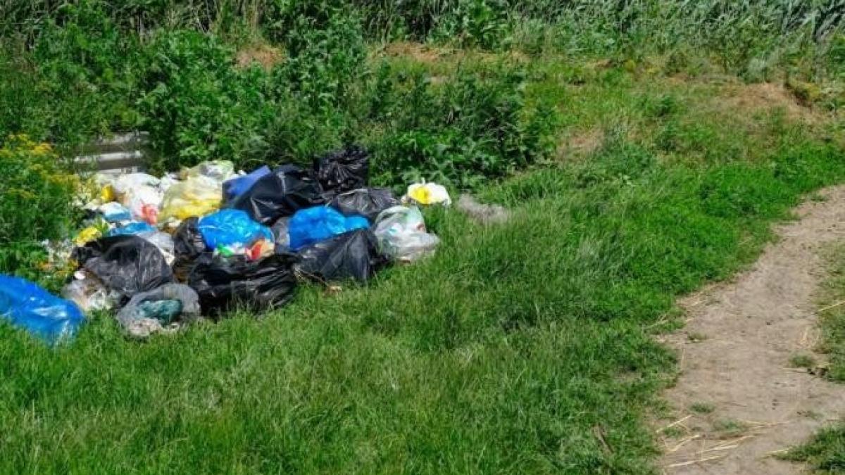 o-serie-de-dialoguri--pe-teme-de-mediu--cu-societatea-civila--initiata-de-psd--bogdan-balaniscu---lucrul-in-echipa-ne-ajuta-sa-luam-cele-mai-bune-decizii_47874300