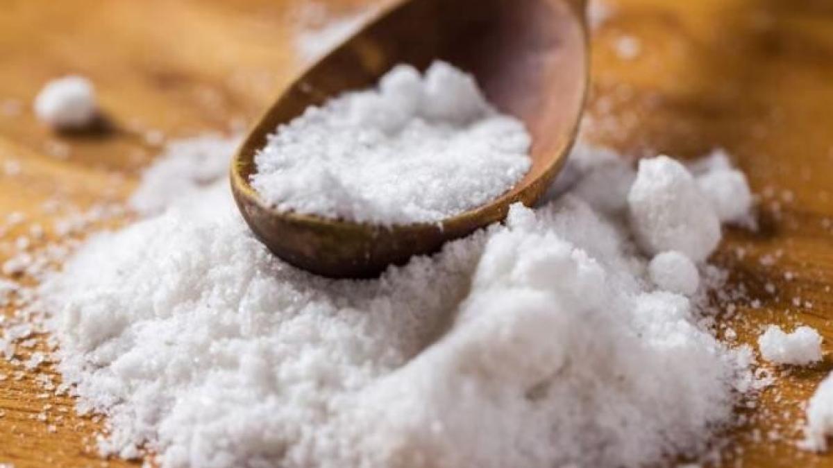 pune-sare-in-gradina--trucul-gradinarilor-care-functioneaza-de-fiecare-data_99398800